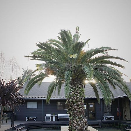 Hugo & Carters Backpackers & Motel Tauranga Exterior foto The pool at the hotel