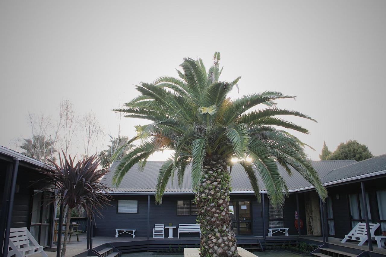 Hugo & Carters Backpackers & Motel Tauranga Exterior foto The pool at the hotel