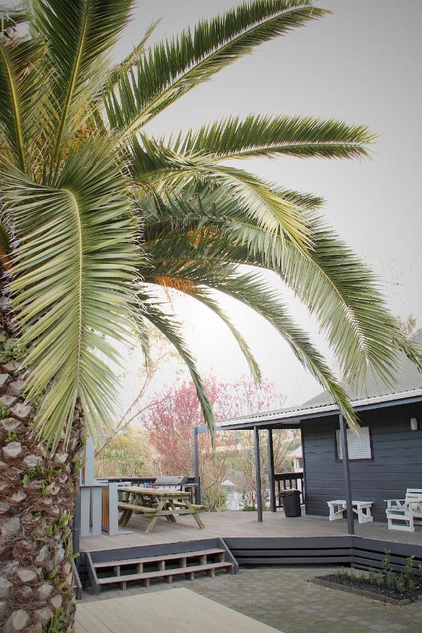 Hugo & Carters Backpackers & Motel Tauranga Exterior foto Phoenix canariensis